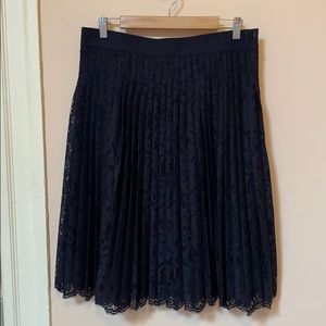 NWT Ann Taylor Pleated Lace Skirt